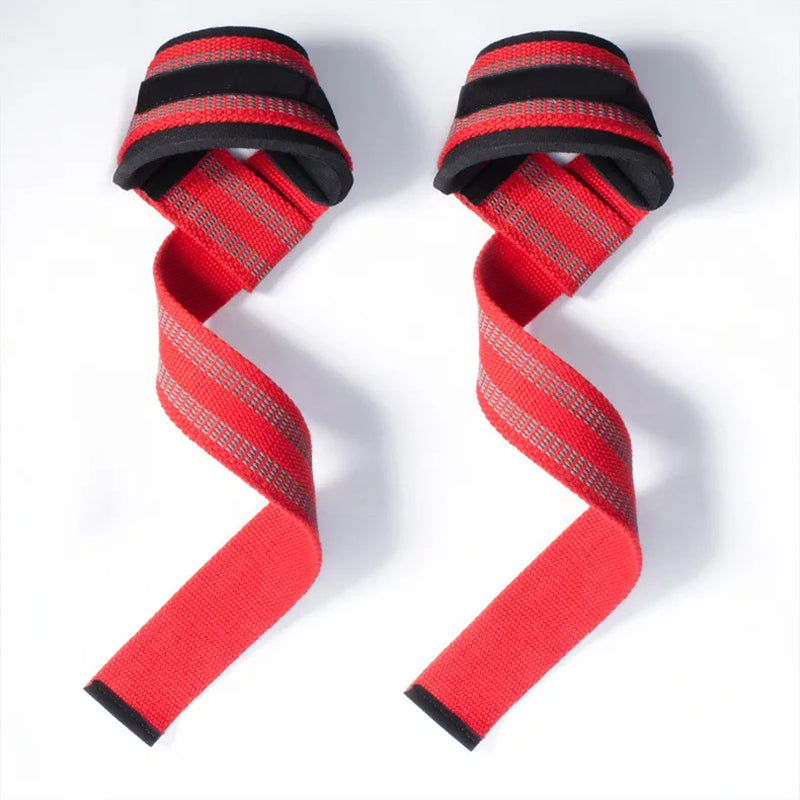 Straps Workout Weights Lifting 