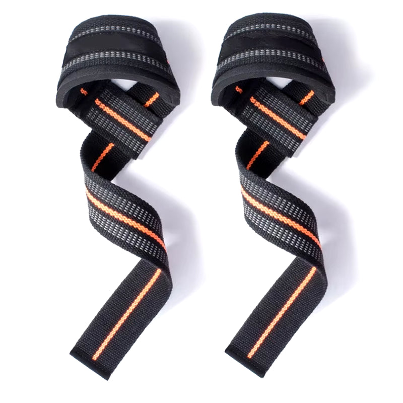 Straps Workout Weights Lifting 